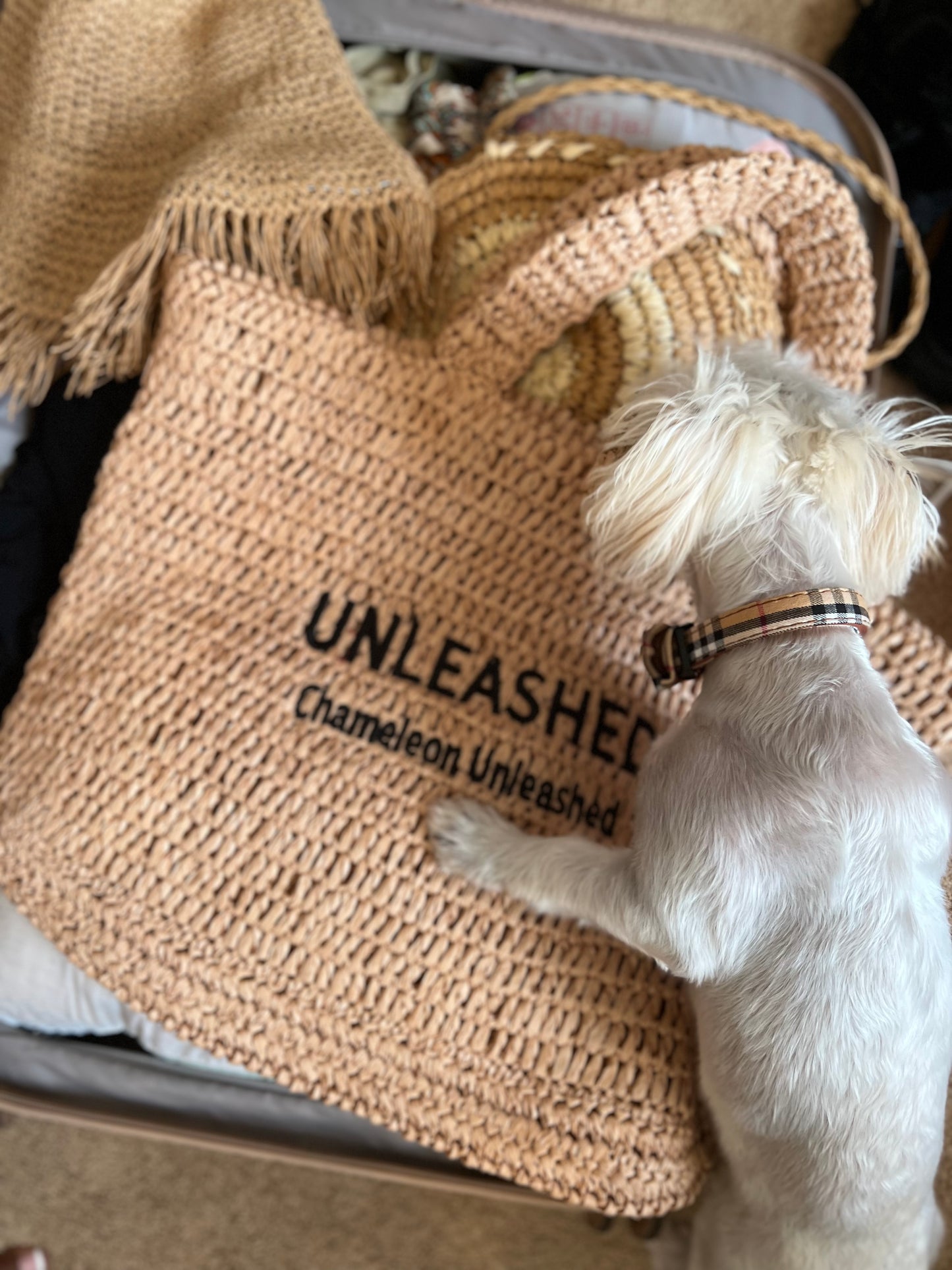 UNLEASHED Raffia Bag