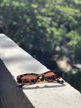 Load image into Gallery viewer, Jungle Collection Sunglasses
