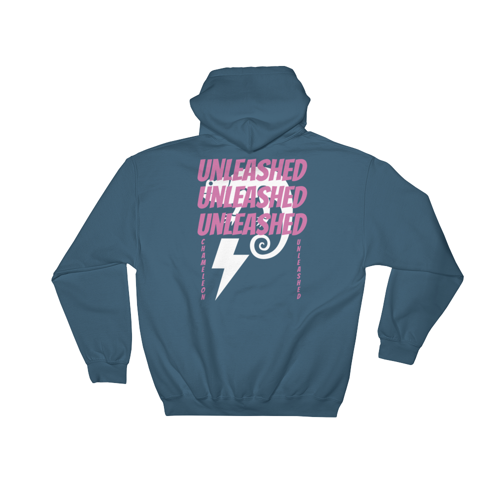 Witness Protection Unisex Hoodie